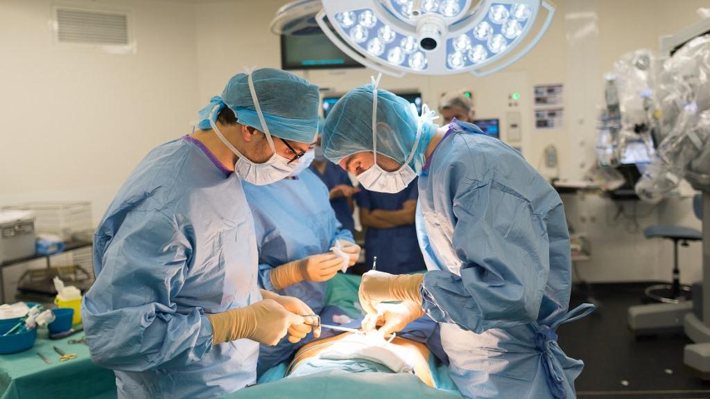 Une étude interroge l’impact de l’intelligence artificielle sur les compétences médicales en endoscopie