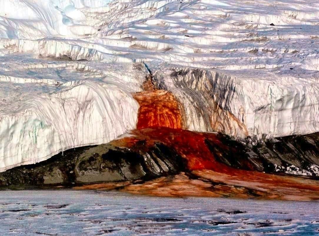 Le glacier Taylor : source d’une mystérieuse cascade rouge en Antarctique