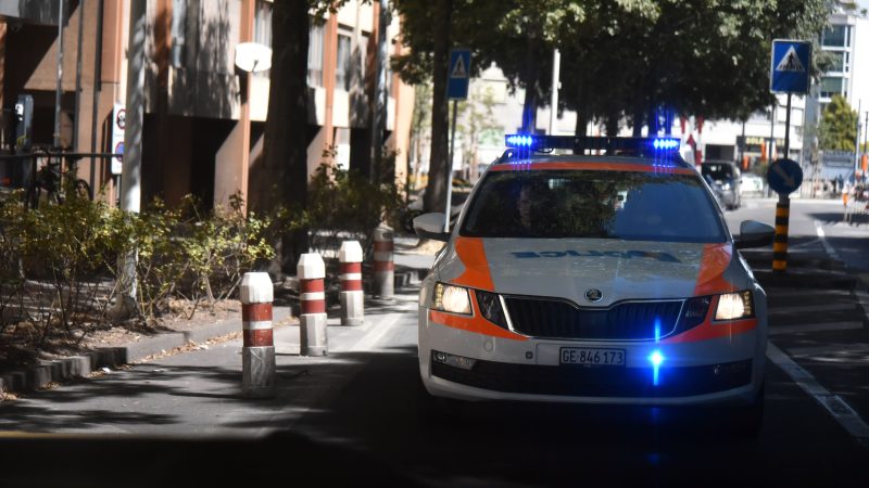 Genève: femme de 34 ans accusée du meurtre de sa grand-mère, évoquant une légitime défense et des voix