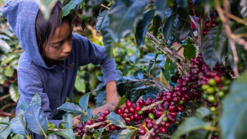 Bienne : acquittement de trois prévenus dans l’affaire de noyade d’une fillette à la piscine scolaire