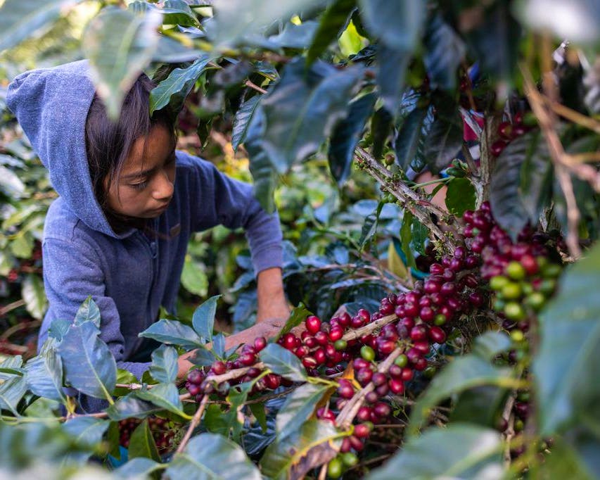 Bienne : acquittement de trois prévenus dans l’affaire de noyade d’une fillette à la piscine scolaire