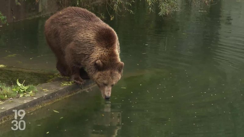 Lena Situations annonce le retour de son podcast Canapé 6 places avec Rihanna comme invitée