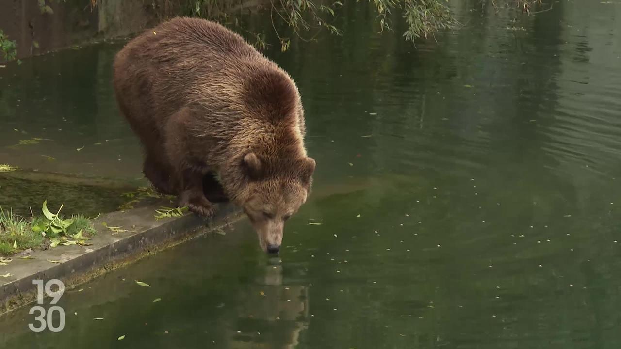 Lena Situations annonce le retour de son podcast Canapé 6 places avec Rihanna comme invitée