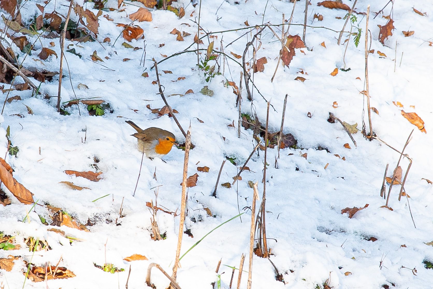Visite du prince Mohammed ben Salmane à Washington: enjeux de normalisation et accord de défense