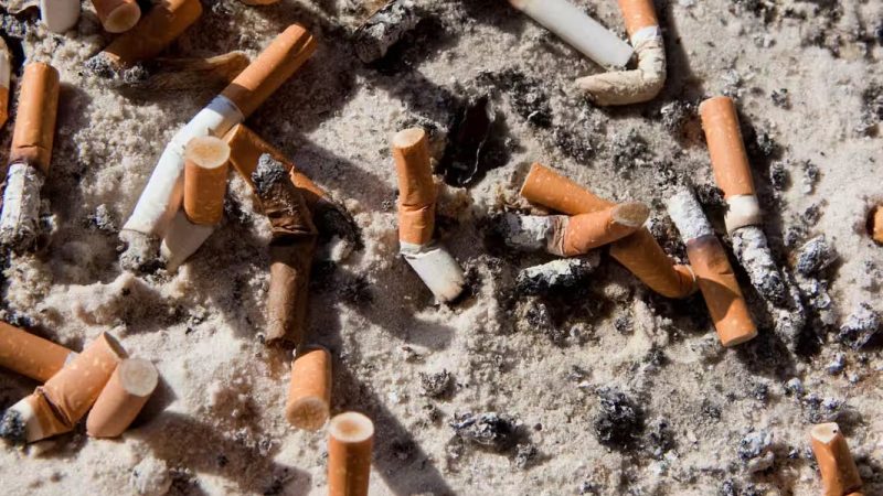Pollution des mégots à Genève : l’OMS et la CCLAT appellent à des mesures ambitieuses