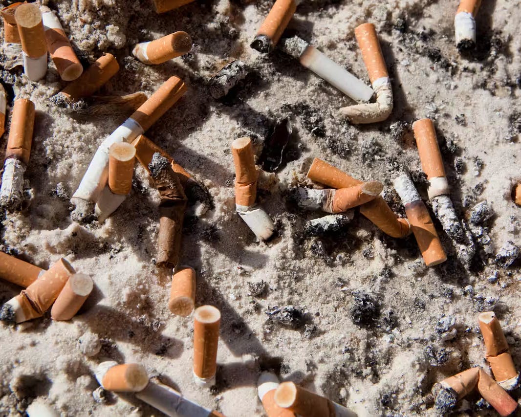 Pollution des mégots à Genève : l’OMS et la CCLAT appellent à des mesures ambitieuses