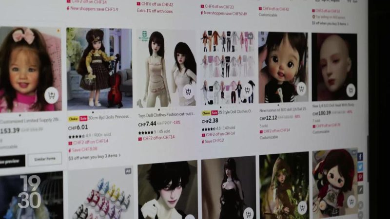 Votations du 30 novembre : faut-il instaurer un service citoyen pour tous les Suisses ?