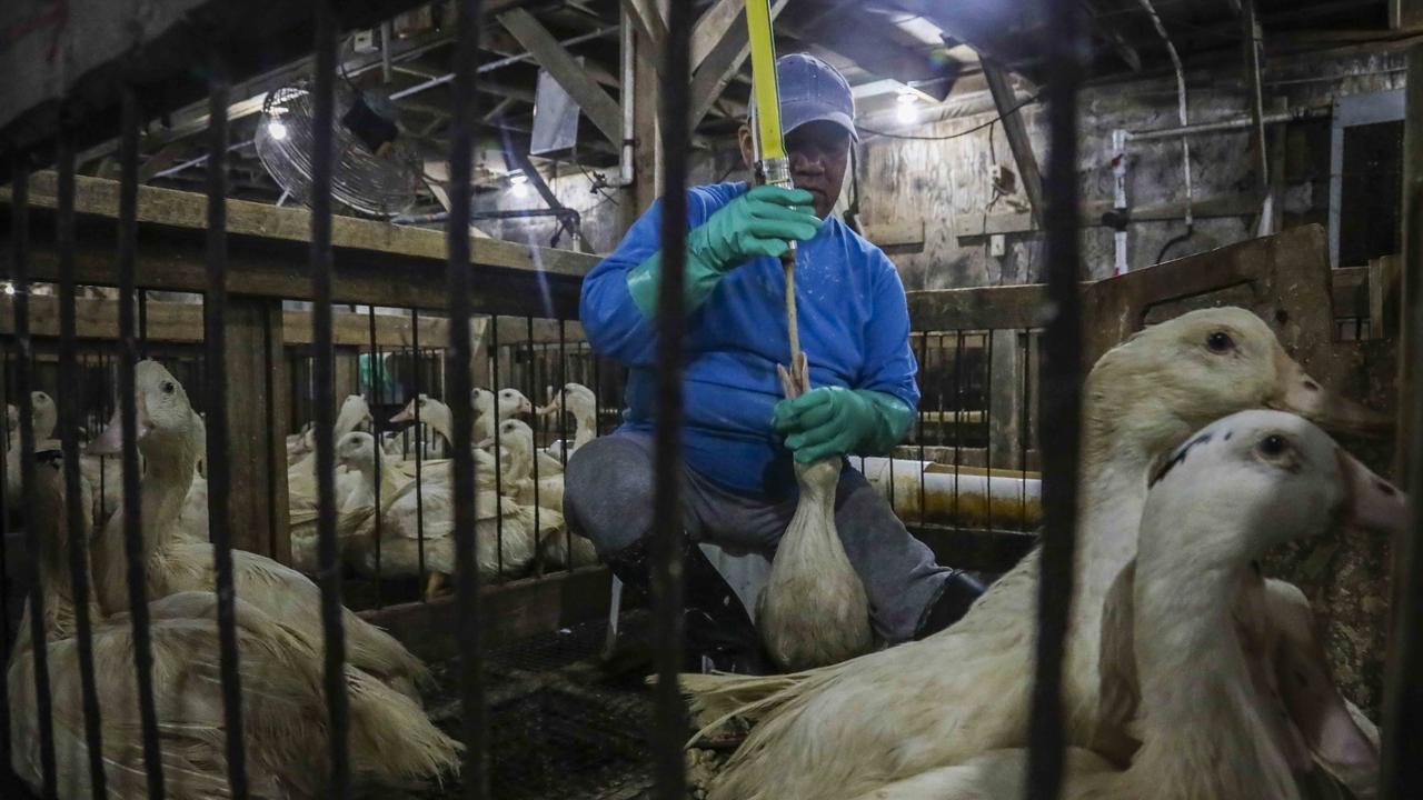 Pouvoir des fortunes et démocratie : quand les concentrations de richesse relancent le débat